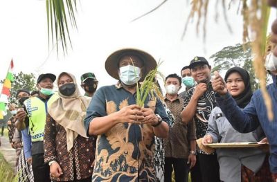 Ritual Doa Bersama Sebelum Memulai Panen